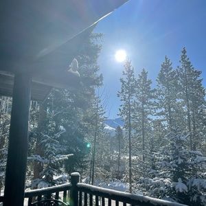 Meet your Posher, Gina